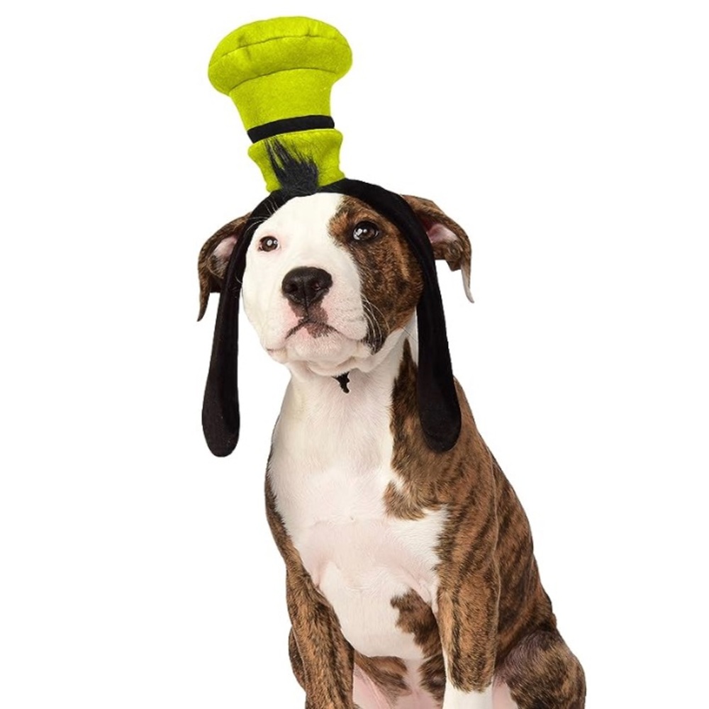 Goofy Halloween Hat for Dogs S/M